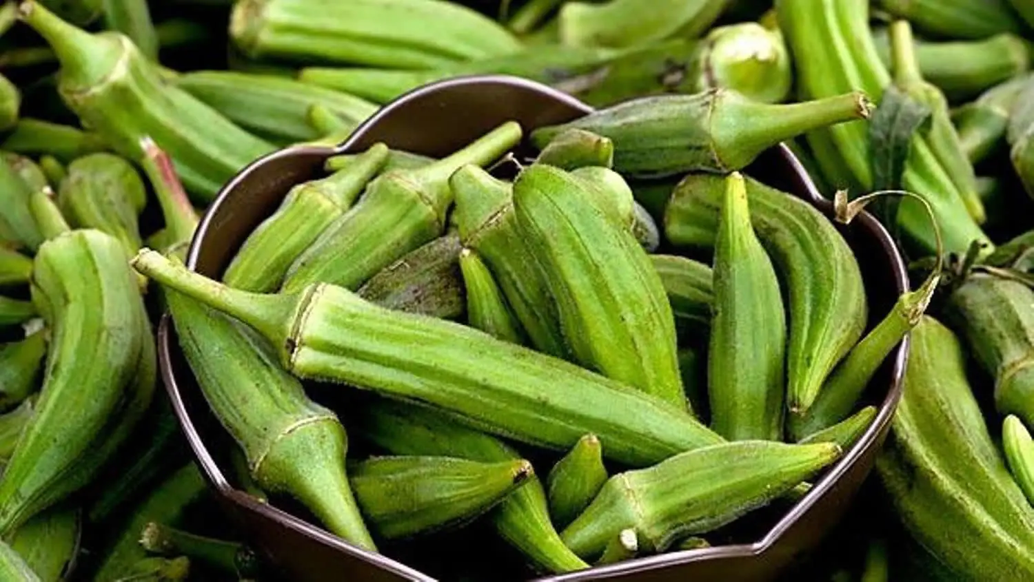 Okra’s 4 Astounding Health Benefits Overshadowed by 1 Digestive Discomfort