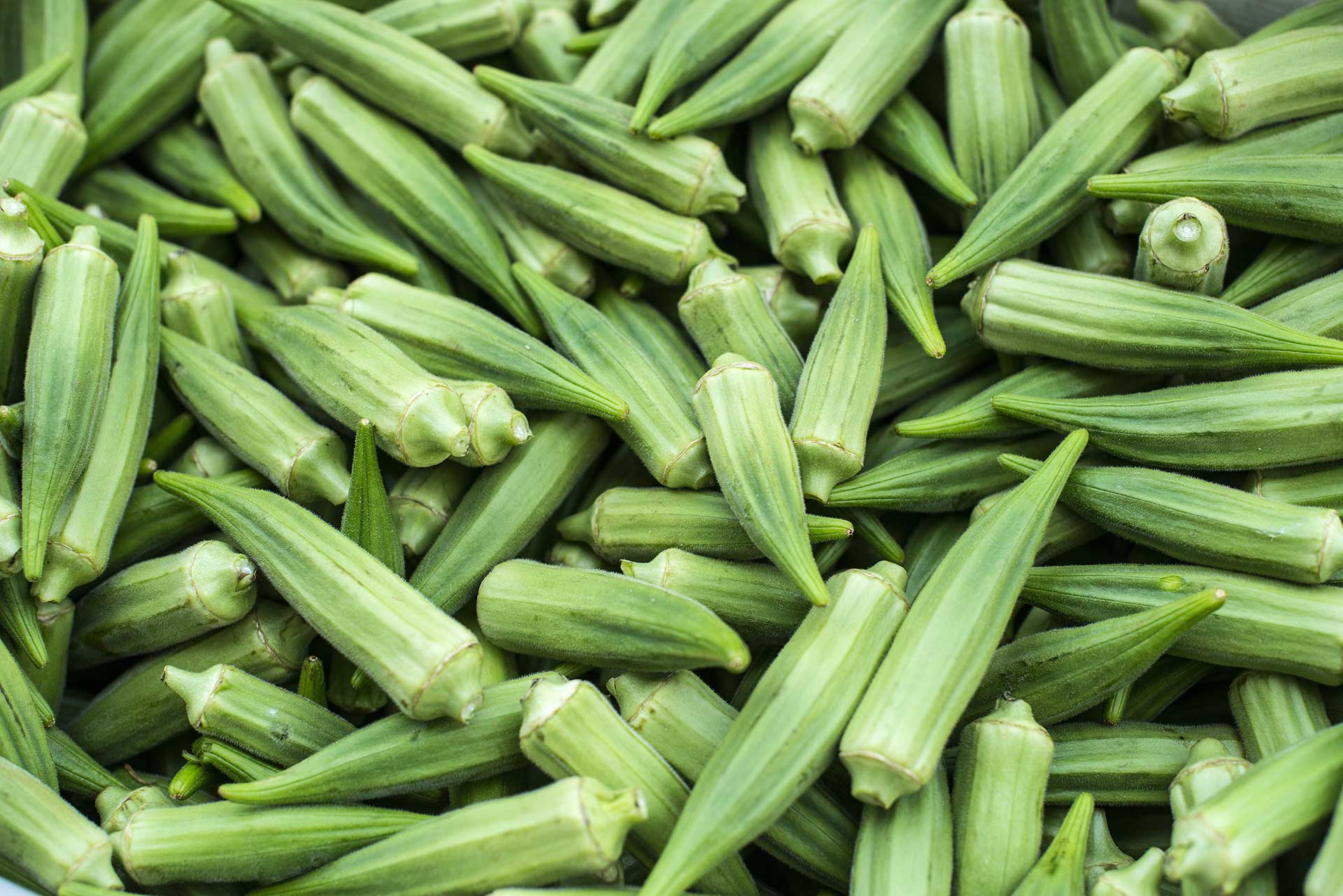 Okra’s Vision Victory: Natural Enhancer for Eye Health