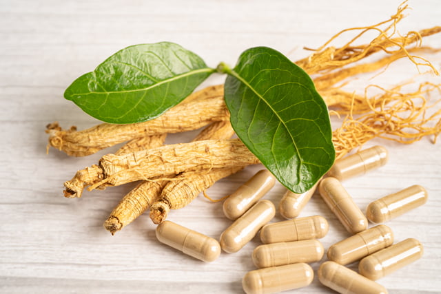 Ang Malamig na Pananakop ng Panax Ginseng: Natural na Palakasin ang Iyong Imunidad