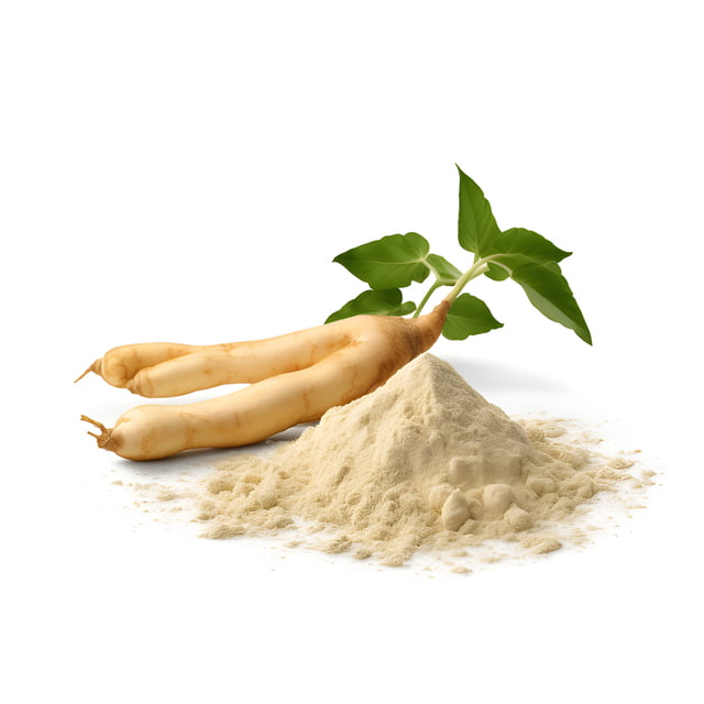 Panax Ginseng’s Immune Invasion: Natural na Palakasin ang Iyong Depensa